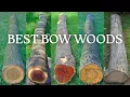 The Best Bow Wood After Building 100 Bows