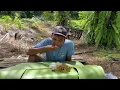Download Lagu Mas Topan's Vlog: From the River Hunting for Fish, Continues to the Garden