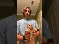 Yellow cat dancing TikTok abrameng