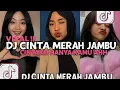 Download Lagu TERBARU DJ CINTA MERAH JAMBU AJENG FEBRIA REMIX ||  VIRAL TIKTOK 2025 || TANPA IKLAN