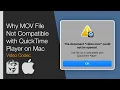 Why MOV File Not Compatible with QuickTime Player on Mac Codec Animation Apple ProRes