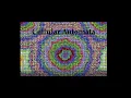 Cellular Automata in Pygame