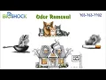 Home Odor Removal with BioShock