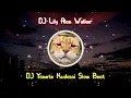 DJ Lily Alan Walker Slow Beat - Viral Remix 2021