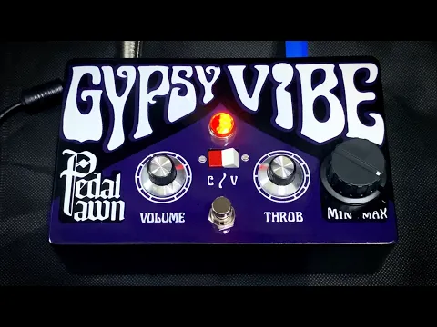 Pedal Pawn Gypsy Vibe | Delicious Audio