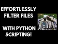 How to Filter Hundreds of Files by Extension in Python