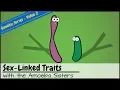 Punnett Squares and Sex-Linked Traits OLD