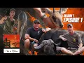 Download Lagu African Virgins - This Is Africa - Season 7 - Episode 1