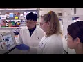 Lu Wang s Lab Studying Epigenetics in Cancer