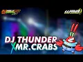 Download Lagu DJ THUNDER x MR.KRABS || DJ SLOW BASS TERBARU 2021