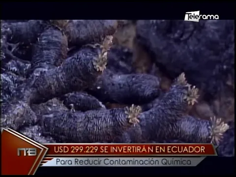 USD 299.229 se invertirá en Ecuador para reducir contaminación química