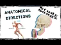 Anatomical Directions Terms Song - Re edited