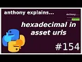 why do asset urls have hex segments beginner - intermediate anthony explains