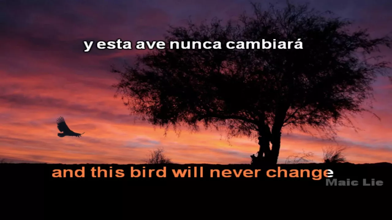 Will To Power - Baby I Love Your Way (subtitulado al español e ingles)