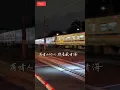 月娘的眼淚 - 向蕙玲