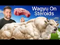 I Cooked the World s STRONGEST Cow
