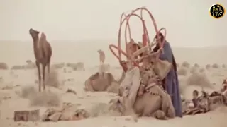 شيلة رغباه ولي قابلية سعدمن هو معل أبدو حدر دندنها