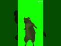 Download Lagu Tikus joget