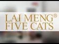 LAI MENG FIVE CATS 2022Spring Summer Boho Dresses Ootd ideas Share