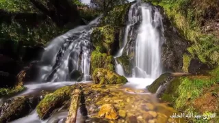 سورة يس بصوت القارئ عبدالله الخلف 1437 