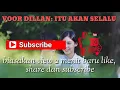Download Lagu Voor dillan 1991\