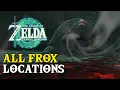 Zelda Tears Of The Kingdom All Frox Locations