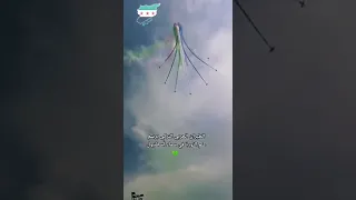 علم الثورة السورية تركيا اسطنبول SANAD 