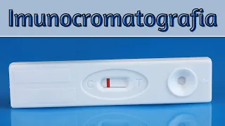 Imunocromatografia (Teste Rápido)