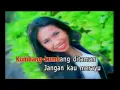 Kumbang ~ Kumbang ~ Ade Irma