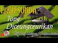 Download Lagu Tong Diceungceurikan ( Lirik \u0026 Video) @lagusunda