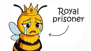 Your Life As a Queen Bee