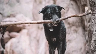 The Silent Episode – Pushing North 27