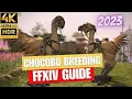 FFXIV Chocobo Breeding Tutorial