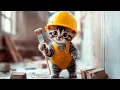 Download Lagu A Tiny Kitten Builds His Dream House From Scratch! 🏠🐱 | Cult of Kittens