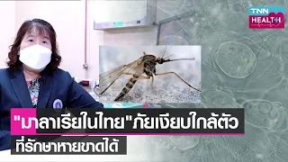 คนที่ไปพื้นที่เสี่ยงต้องป้องกันมาลาเรียอย่างไรดีที่สุด