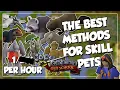 Best Methods for Skilling Pets in OSRS - Easiest Pets To Get AFK Active