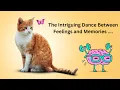 Emotions Unleashed The Intriguing Dance Between Feelings and Memories