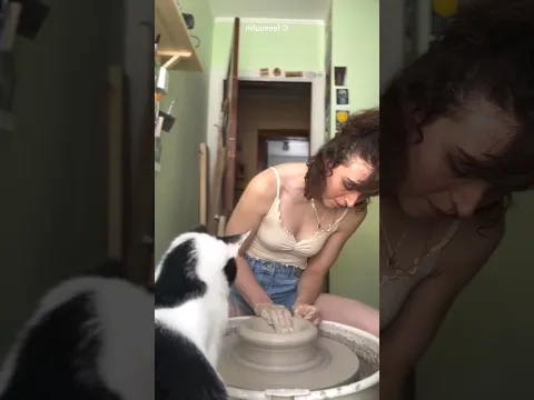 تركت قطتي بمفردها مع عجلة الفخار.. ولن تصدقوا ماذا صنعت بمخالبها! 🙀🏺