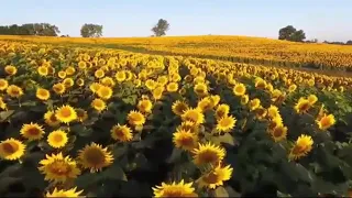 دربك لوين يا سمر        دندنها