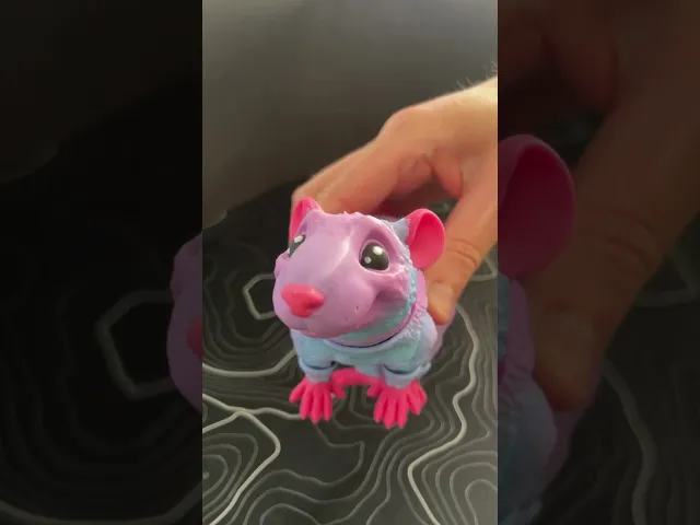 Rat - Articulated Figure video thumbnail