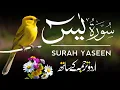 Lagu Surah Yaseen | Surah Yaseen With Urdu Translation | Al Furqan Studio | Ep050