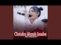 Download Lagu Cintaku Merah Jambu