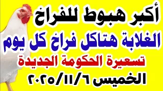 اسعار الفراخ اليوم سعر الفراخ البيضاء اليوم الخميس 6 11 2025 في مصر جمله وقطاعي 