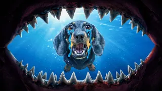Dachshund vs Shark: Who's the Real King of the Ocean?