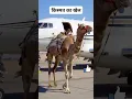 Download Lagu Instagram trending reels viral new.#trending #viralreels  #viral