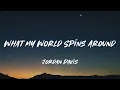 What My World Spins Around - Jordan Davis (Lyrics)
