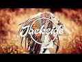 Download Lagu MAROON 5 - Girl Like You_(ISRAEL VIBRATION) x DJ JACKSIDE_[Reggae Mashup] 2018