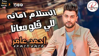 احمد عامر تريند 2024 السلام امانه للي قلو معانا انا كل يوم بسمع حاجات عن نفسي معرفعاش 