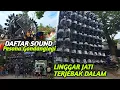 Asli Perang Konsep🔥BREWOG Terakhir, LJ Terjebak🫵Daftar Lengkap Sound Karnaval Pesona Gondanglegi 