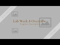 CMIS 102 Hands On Lab Week 8